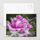 Search for metamorphosis postcards Insect