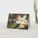 Search for apples cards Apple tree