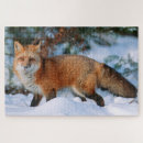 Search for red fox puzzles Woodland