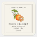 Search for orange slice Watercolor