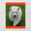 Search for eskies postcards Happy birthday