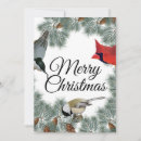 Search for chickadee christmas cards Winter