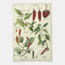 Search for vintage botanical tea towels Plant