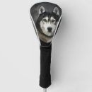Search for siberian husky dog golf equipment Animal