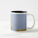 Search for abbey mugs United kingdom
