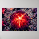 Search for urchin posters Red
