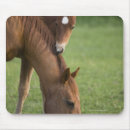 Search for colt mouse mats Brown