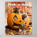 Search for jackolantern art Avanti press