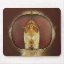 Search for compound mouse mats Animal