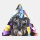 Search for schnauzer stickers Birthday