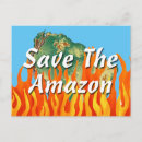 Search for amazons postcards Rainforest