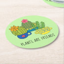 Search for friendly coasters Cute