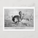 Search for dodo postcards Bird