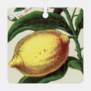 Search for lemon christmas tree decorations Vintage
