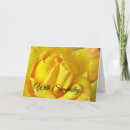 Search for christian sympathy cards Peace