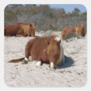 Search for wild ponies stickers Pony