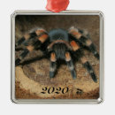 Search for spider christmas tree decorations Spooky