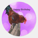 Search for roosters stickers Fowl