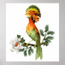 Search for white bird posters Flower