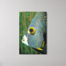 Search for wild side canvas prints Outdoors