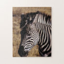 Search for african animals puzzles Landscape