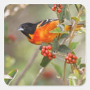 Search for feed the animals stickers Habitat