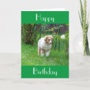 Search for dog walking birthday cards Veterinarian