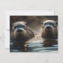 Search for penpalling postcards Postcrosser