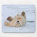 Search for polar bear mouse mats Wildlife