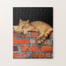 Search for brick wall puzzles Red
