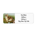 Search for storybook return address labels Flowers