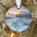 Search for carmel california christmas tree decorations Landscape