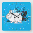 Search for hare clocks Rabbit