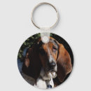 Search for basset hound key rings Puppy