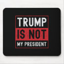 Search for the swamp mouse mats President