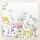 Search for meadow coasters Botanical