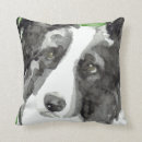Search for border collie cushions Dogs