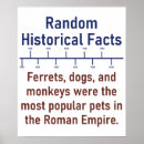Search for monkey fact Facts