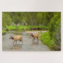 Search for colorado puzzles Elk