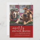 Search for cute puppy christmas cards Red