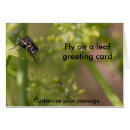 Search for fly photography Flies