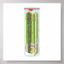 Search for asparagus posters Food