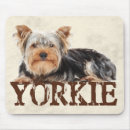 Search for yorkshire terrier electronics Canine