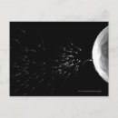 Search for fertilisation postcards Egg