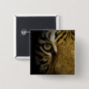Search for tiger eye badges Feline