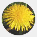 Search for multi region stickers Nature