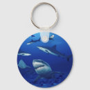 Search for teddy key rings Kids