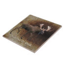 Search for bull tiles Rustic