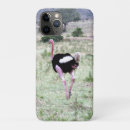 Search for ostrich iphone cases Africa