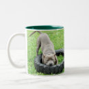 Search for staffordshire terrier mugs Dog